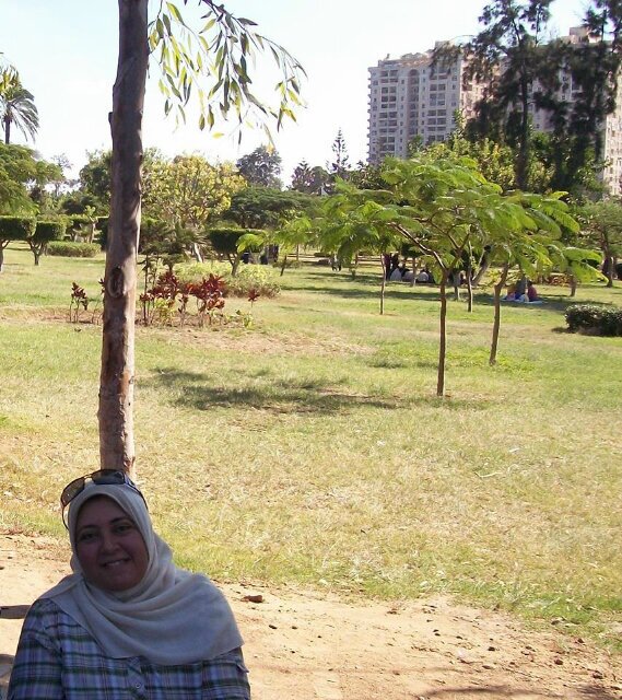 ام لعيلين مطلعين عينى واحدة ليل و نهار على تويتر ودخلت اعرف بتعمل اية و عندى امنية تانية ان ابنى يذاكر لوحدة عشان زهقت ادعولى و
 
 بحب مصر بدون اى انتماء سياسى