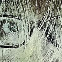 RCGimages 🌊 🌊 🌊 (@rcgimages) 's Twitter Profile Photo RCGimages 🌊 🌊 🌊 (@rcgimages) 's Twitter Profile Photo