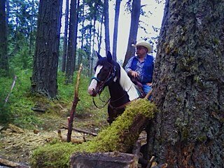 Live in the Great Pacific NW, Enjoy Trading, the Outdoors and Working with my Horses !
