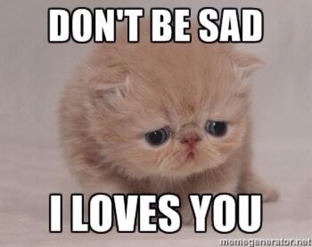 CodeEdits's profile picture. Im a youtuber i love to snipe