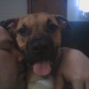 john carl hanson - @pokerdad78 - Twitter