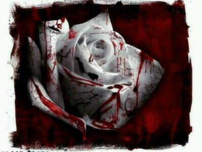cathynorris67@gmail.com