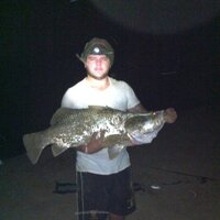Daniel Nichols (@dantomnic) 's Twitter Profile