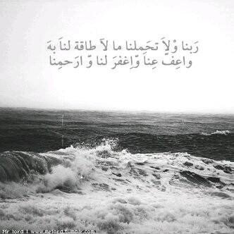 Reema obaidy.. I love u to the moon and back, you are an endless love, may god protect u  ♡'