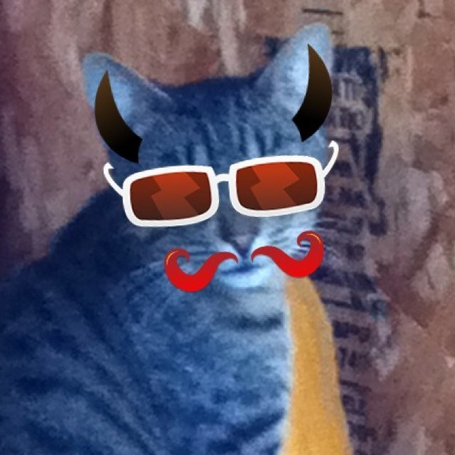 I am a evil cat my owner is sweet i do devilish type things. I have a annoying dog stuck with me and I was there first pet im tring to get rid of the dog.