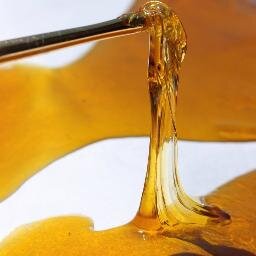 extractionartis's profile picture. 