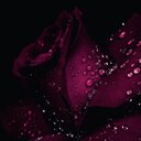 الله جل جلاله♥ (@0533147) Twitter