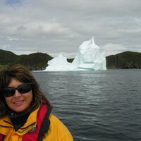 Lynn Burry (@lynnburry) 's Twitter Profile Photo