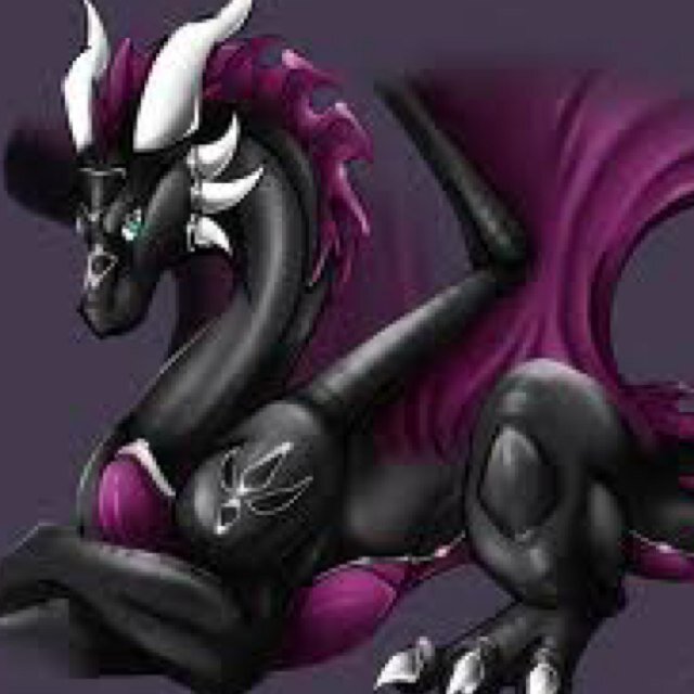 Mate:@fatherofcynder daughters are @Epic_cynder and @cyndervolts,son:@dimitridvorak,son in laws are @Allin1_spyro and @spyrosbro grandchild: @amethystxdragon