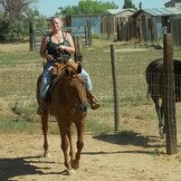 { Peg Johnson } (@peg1912) 's Twitter Profile