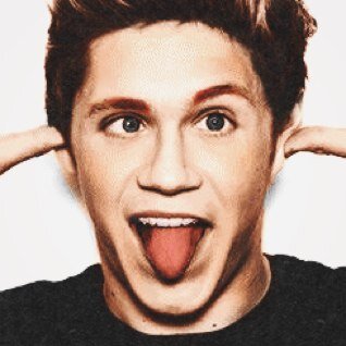 -keeping-up-with-the-fangirls and niall