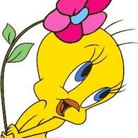 ﻣز ﺂ̲ﺟ̵ـيُـﮪ̵̵̵ﮧ̉♥ (@vditk_92095) Twitter profile photo
