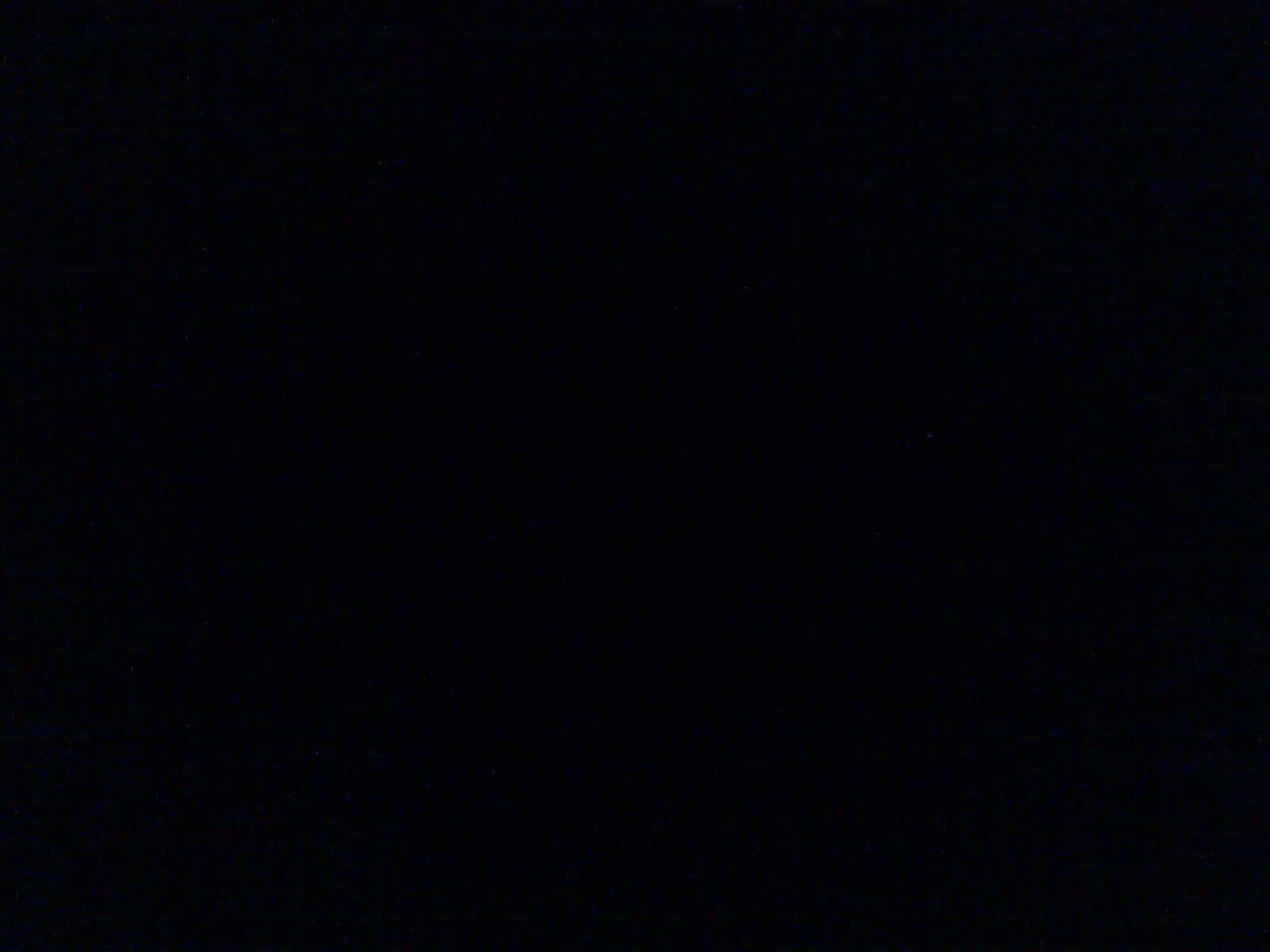 DiamondBandz's profile picture. 