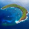 molokini's profile picture. One of the best places to snorkel and scuba dive on the planet! We share the ancient volcanic Molokini Crater and surrounding areas of Maui County.