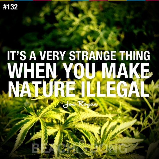 if you smoke the weed then you sir are cool