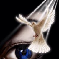 Darryl Grace (@motown80) Twitter profile photo