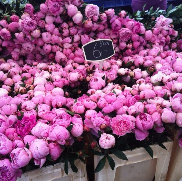 redpolkadots147's profile picture. insatiable