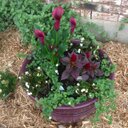 Marissa Lutz - @lutz_marissa - Twitter