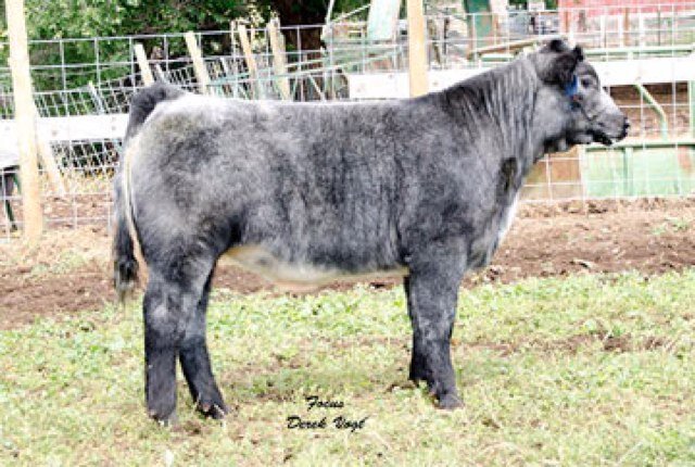 ryanbates36's profile picture. 