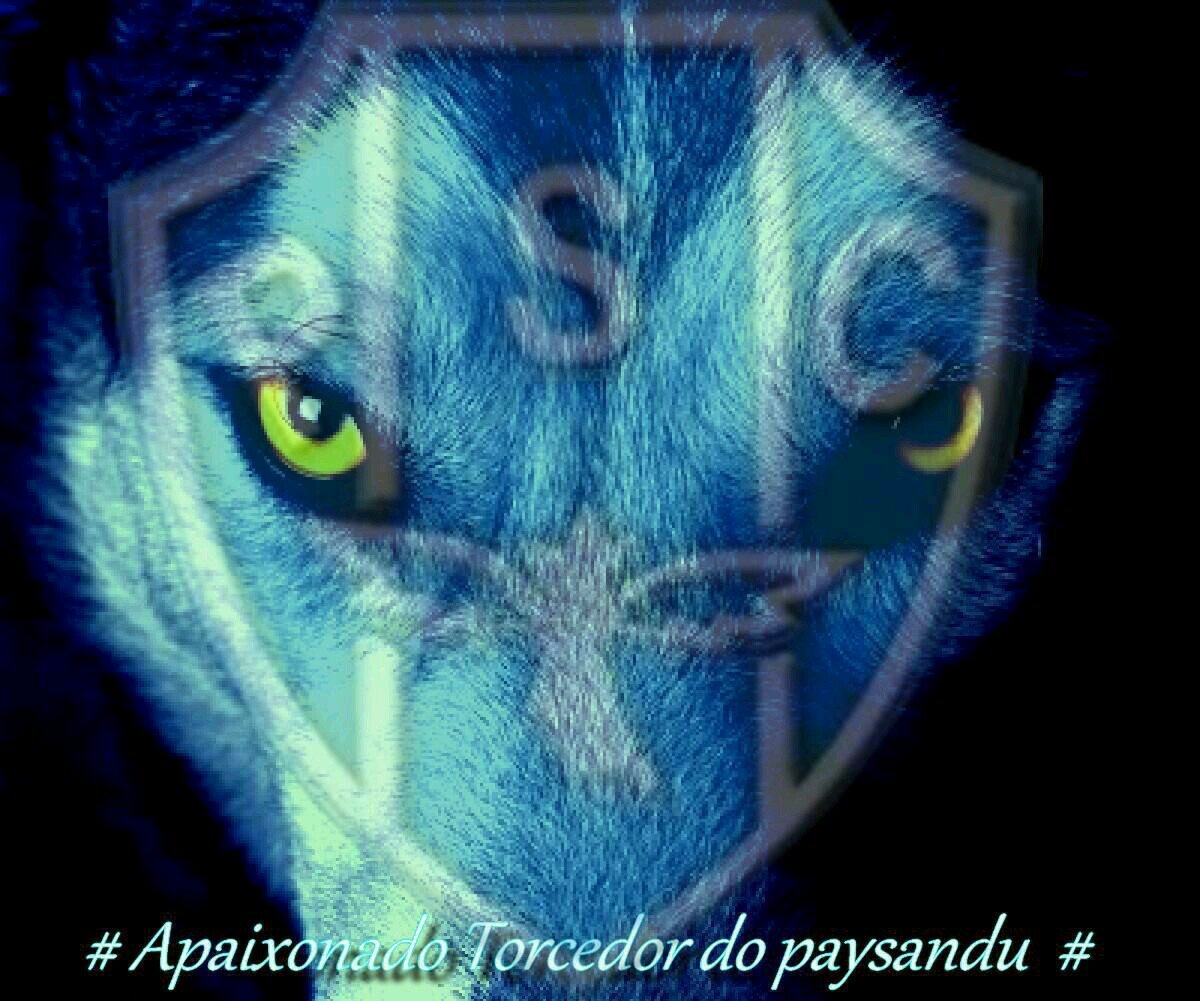 Torcedor do @Paysandu tô aqui só pra zoar 🤪