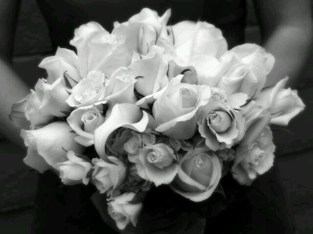 CK_clnet's profile picture. 쭝얼쭝얼