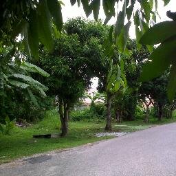 CandyFunRun's profile picture. 