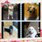 mayumi1243's profile image