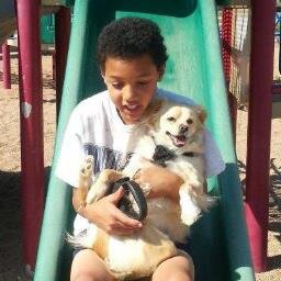 Love animals, Love sports especially football, and playing ESPN SFTC, Love books, internet, movies, music, theater and tv