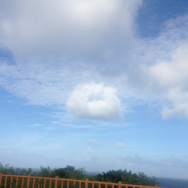 しまちこ 森尾由美さんピンクハウスいつやめたんだろ しまちこ 森尾由美さんピンクハウスいつやめたんだろ