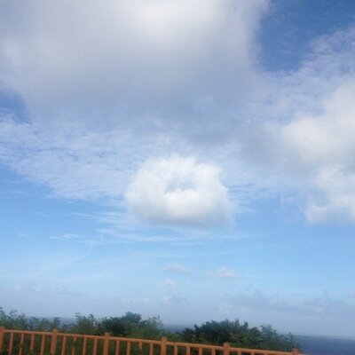 しまちこ 森尾由美さんピンクハウスいつやめたんだろ