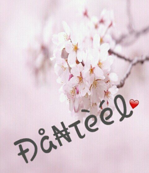 الشحن لجميع مناطق المملكه ، دايركت للتواصل ، انستقرام : _danteel