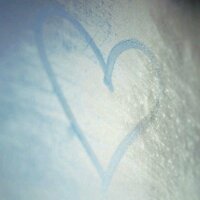 lotus_k (@lotus__k) 's Twitter Profile