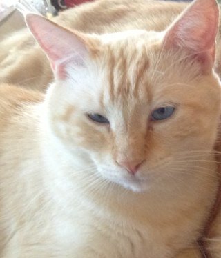 HelloCathySue's profile picture. 