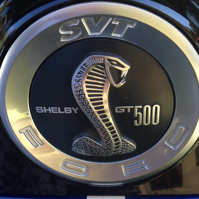 mobius2016's profile picture. 