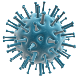 BiolSwan's profile picture. 