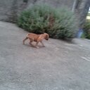 Kike Arís Touceda (@13kikes) Twitter