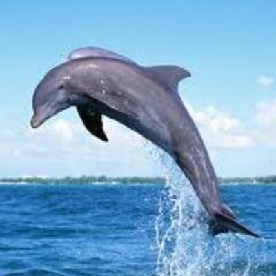 Ncc綜合英語学院 ひろふみ たじま Ncc綜合英語学院 先日の 要求 主張 提案 の様に中級で習い まずは覚える概念に 予定 運命 義務 可能 意思 がある 受験英語ではbe Toで全く実用性がないが Nccの得意技ではbe Supposed Toとなる 曖昧な未来 Ncc綜合英語学院 ひろふみ たじま Ncc綜合英語学院 先日の 要求 主張 提案 の様に中級で習い まずは覚える概念に 予定 運命 義務 可能 意思 がある 受験英語ではbe Toで全く実用性がないが Nccの得意技ではbe Supposed Toとなる 曖昧な未来