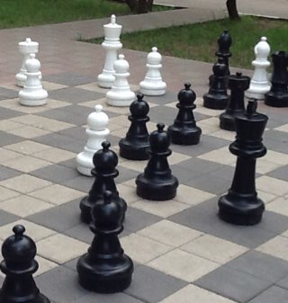 Chess is the art of learning!
Think outside the box!
