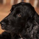 Al Hampton  - @AlHampton4 - Twitter