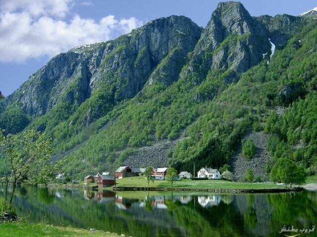 ajalidd's profile picture. 