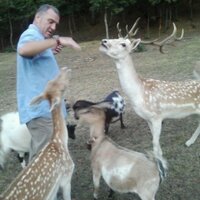 Luciano Hernandez (@lhernandezc1) 's Twitter Profile