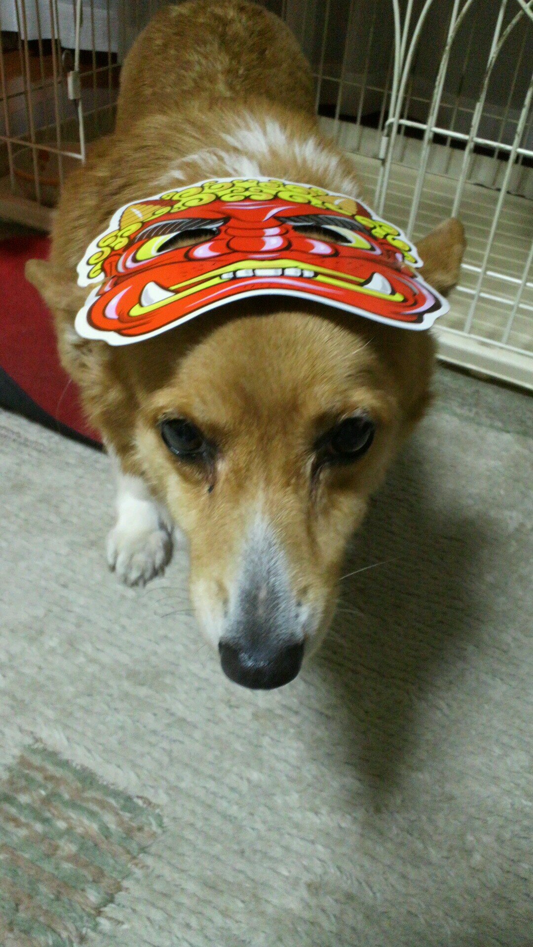 インコちゃんと暮らしております。NHKから国民を守る党推し。元ネイリスト。現介護福祉士。ブラックデイサービス勤務。休憩30分、パワハラ、セクハラ当たり前。有給年3日！！