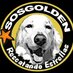 SOSGOLDEN (@SOSGOLDEN) Twitter profile photo