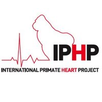 Ape Hearts (@apehearts) 's Twitter Profile