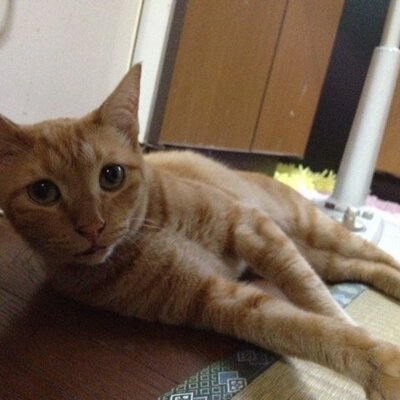 うっちー