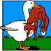 Fox and Goose (@foxygossip) Twitter profile photo Fox and Goose (@foxygossip) Twitter profile photo