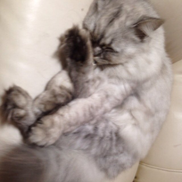 mM__0301's profile picture. 