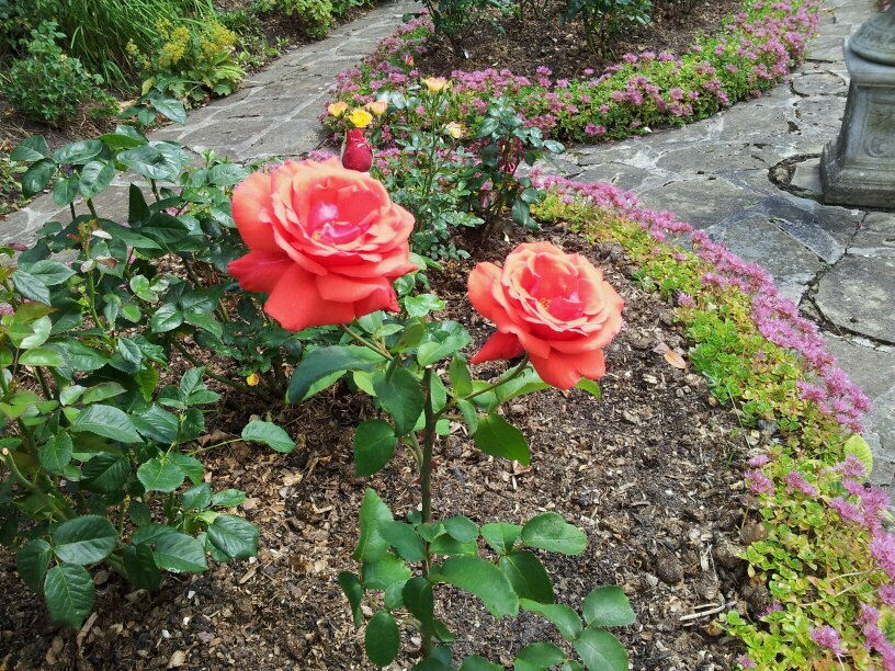 FtMcGrory's profile picture. 