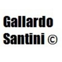 Gallardo Santini(@GallardoSantini) 's Twitter Profile Photo