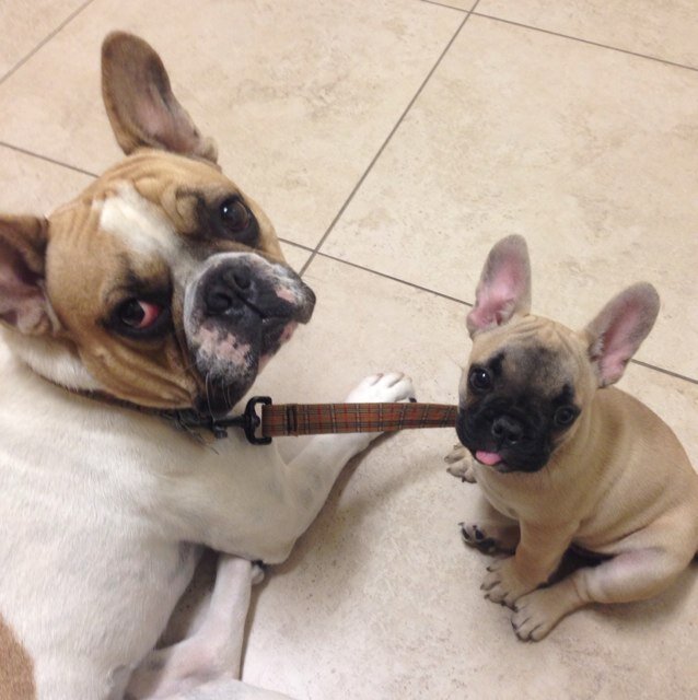 yodenhymer's profile picture. 